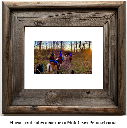 horse trail rides near me in Middlesex, Pennsylvania